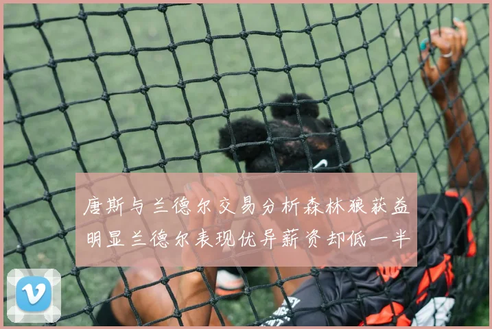 唐斯与兰德尔交易分析森林狼获益明显兰德尔表现优异薪资却低一半